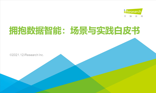 2021年拥抱数据智能：场景与实践白皮书